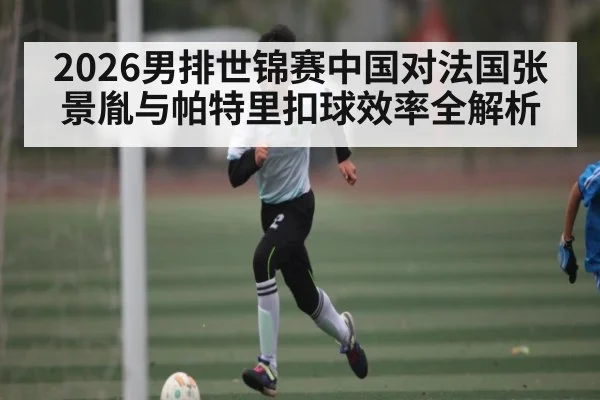 2026男排世锦赛中国对法国张景胤与帕特里扣球效率全解析